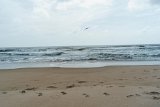 ILCE-6000-20180518-DSC04388 : 2018, NC, Rodanthe