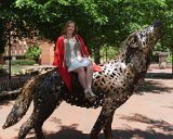 Lizzy on Wolf : 2018, Graduation Pictures, Lizzie Weaver, NC State, NCSU
