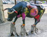 E8700-20060607-DSCN2762 : 2006, France, Paris, Paris First, _year_