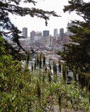 IMG 5477 : 2013, San Francisco, Telegraph Hill