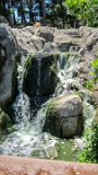 100 HS-20130617-IMG 1258 : 2013, Golden Gate Park, San Francisco, waterfall