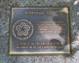 100 HS-20130619-IMG 2377 : 2013, Muir Woods, San Francisco