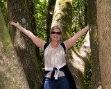 SLT-A33-20130619-DSC06753 : 2013, Lois, Muir Woods, San Francisco