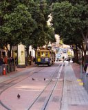 SLT-A33-20130620-DSC06910 : 2013, San Francisco