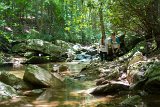 SLT-A33-20130720-DSC07142 : 2013, Alison, Camp Alta Mons, Laura Hall, Shawsville, Stiles Falls, VA, waterfall