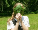 SLT-A33-20130720-DSC07174 : 2013, Alison, Camp Alta Mons, Shawsville, Stiles Falls, VA, waterfall