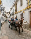 Cordoba : 2015, Cordoba, Spain, _highlights_