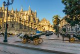 Sevilla : 2015, Sevilla, Spain, _highlights_
