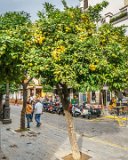 Sevilla : 2015, Sevilla, Spain