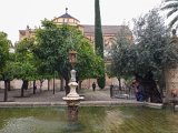 Cordoba - Mosque-Cathedral  The Cathedral of Córdoba (Catedral de Córdoba), also known as the Great Mosque of Córdoba (Mezquita de Córdoba). : 2015, Cordoba, Mosque-Cathedral, Spain