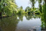 Toronto Island Duck Pond  Shot of the pond waling into Toronto Island : 2015, Toronto, Toronto Island