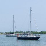 SLT-A33-20150703-DSC01774 : 2015, Toronto, Toronto Island