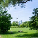 SLT-A33-20150703-DSC01783 : 2015, Toronto, Toronto Island