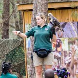 ILCE-6000-20160311-DSC02689  Carolina Raptor Center 6000 Sample Rd., Huntersville, NC 28078 : Charlotte