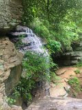 IMG 4852  Moore Cove Falls Pisgah National Forest : Moore Cove Falls, NC, NC Waterfalls
