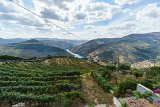 ILCE-6000-20181010-DSC04781 : 2018, D'Origem estate, Douro Valley, Portugal, _year_