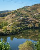 ILCE-6500-20181010-DSC03251 : 2018, Douro Valley, Portugal, _year_