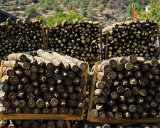 ILCE-6500-20181010-DSC03275 : 2018, Douro Valley, Pinhao, Portugal, Teresa, _year_