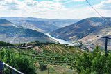 ILCE-6500-20181010-DSC03299 : 2018, D'Origem estate, Douro Valley, Portugal, _year_