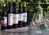 ILCE-6500-20181010-DSC03305 : 2018, D'Origem estate, Douro Valley, Portugal, _year_