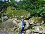 20181014 161602 : 2018, Castle of the Moors (Castelo dos Mouros), Hal, Park of Pena (Parque da Pena), Portugal, Sintra, _year_