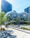 ILCE-6000-20180514-DSC04170 : 2018, Amazon Spheres, Seattle