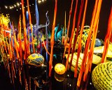 ILCE-6000-20180514-DSC04198  Chihuly Gardens And Glass Mille Fiori (Thousand Flowers) : 2018, Chihuly Gardens And Glass, Seattle, Settle Center