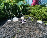 ILCE-6000-20180514-DSC04214  Chihuly Gardens And Glass Black And White : 2018, Chihuly Gardens And Glass, Seattle, Settle Center