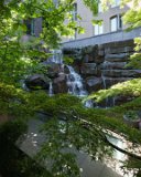 ILCE-6000-20180515-DSC04345 : 2018, Pioneer Square, Seattle, Waterfall Garden Park