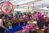 ILCE-6500-20180513-DSC02055 : 2018, Farmers Market, SCCC, Seattle, Seattle Central Community College, flowers & plants