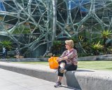 ILCE-6500-20180514-DSC02105 : 2018, Amazon Spheres, Lois, Seattle