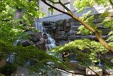 ILCE-6500-20180515-DSC02375 : 2018, Pioneer Square, Seattle, Waterfall Garden Park