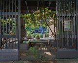 ILCE-6500-20180515-DSC02391 : 2018, Pioneer Square, Seattle, Waterfall Garden Park