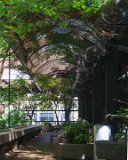 ILCE-6500-20180515-DSC02395 : 2018, Pioneer Square, Seattle, Waterfall Garden Park