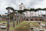 ILCE-6500-20190518-DSC05464 : 2019, Forum of Caesar, Italy, Rome