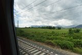ILCE-6500-20190520-DSC05915 : 2019, Italy