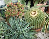 Asheville / Biltmore 2013 : 2013, Asheville, Biltmore, Gardens, NC