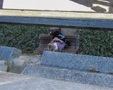 Asheville / Biltmore 2013 : 2013, Asheville, Biltmore, NC