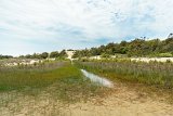 Reflection 2  Jockey's Ridge State Park : 2016, Jockey's Ridge State Park, Kill Devil Hills