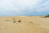 Sand  Jockey's Ridge State Park : 2016, Jockey's Ridge State Park, Kill Devil Hills