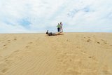 Meghan Takes a Tumble  Jockey's Ridge State Park : 2016, Alison, Jockey's Ridge State Park, Kill Devil Hills, Lois, Meghan