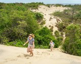 Snake!  Jockey's Ridge State Park : 2016, Alison, Jockey's Ridge State Park, Kill Devil Hills, Meghan