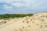 Middle of the Park  Jockey's Ridge State Park : 2016, Jockey's Ridge State Park, Kill Devil Hills