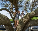 In the Trees 2  Jockey's Ridge State Park : 2016, Alison, Jockey's Ridge State Park, Kill Devil Hills