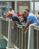 Fishermen 3  Jeanettes Pier, Nags Head, NC : 2016, Jennette's Pier, Kill Devil Hills
