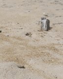 ILCE-6500-20180518-DSC02423 : 2018, NC, Rodanthe